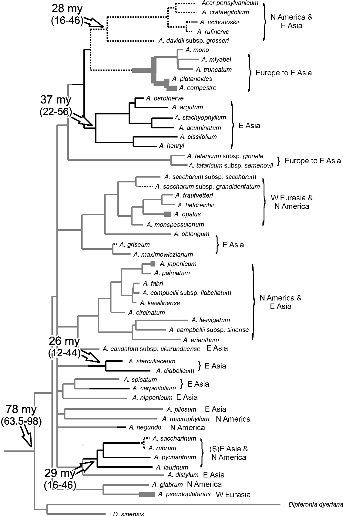 Sexual systems in maples (Acer)