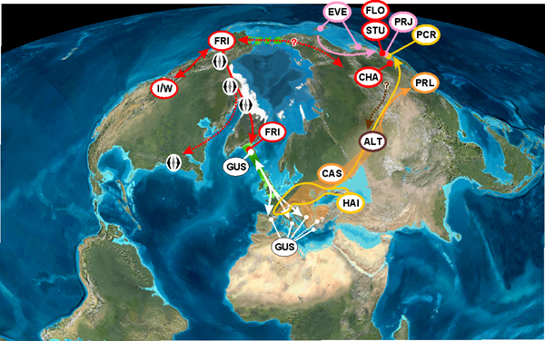 Miocene biogeography of Fagus (beech trees)