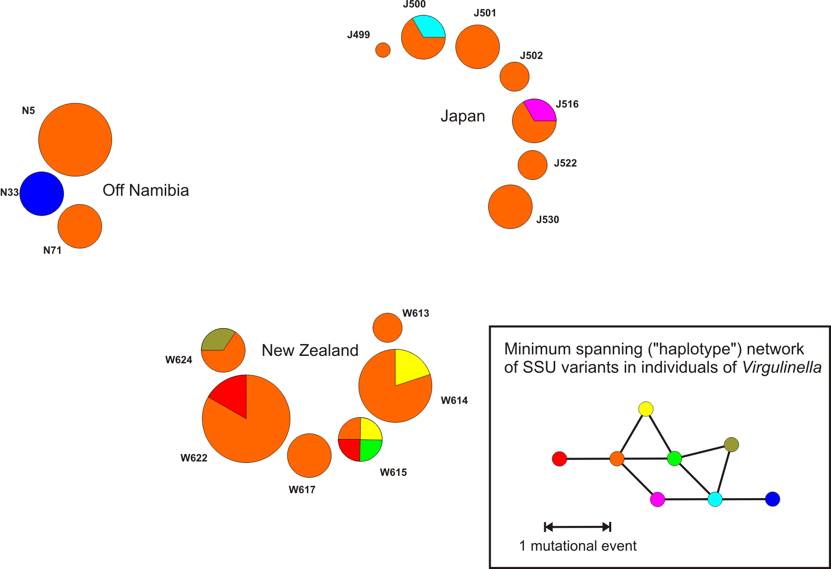 SSU genotypes in Virgulinella fragilis