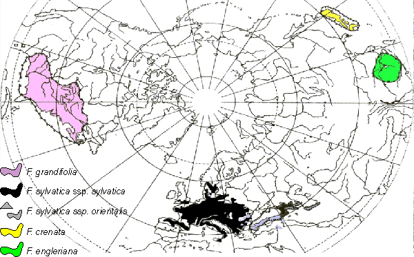 Data Set 2